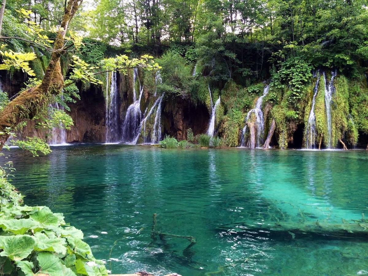 Fenomen Plitvice Resort Plitvička Jezera المظهر الخارجي الصورة